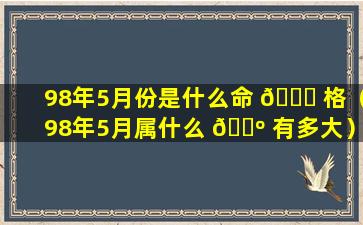 98年5月份是什么命 🐎 格（98年5月属什么 🐺 有多大）